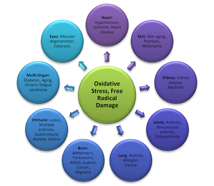 What is stress, image result for stress disease